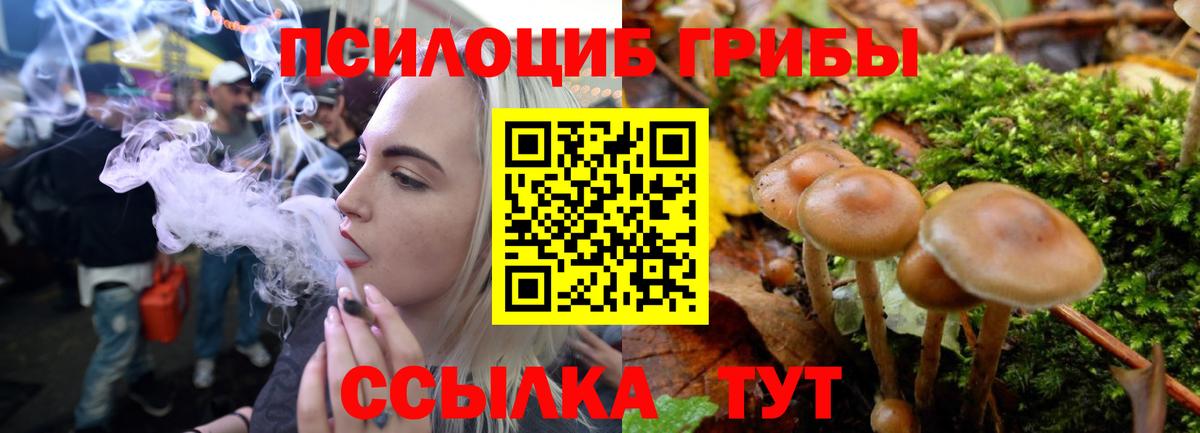 Псилоцибиновые грибы прущие грибы  Вход с VPN  Псилоцибиновые грибы MAGIC MUSHROOMS  наркота  Сердобск 